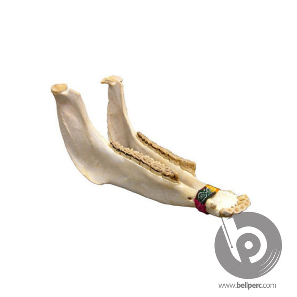 bellperc Jawbone - bellperc.com
